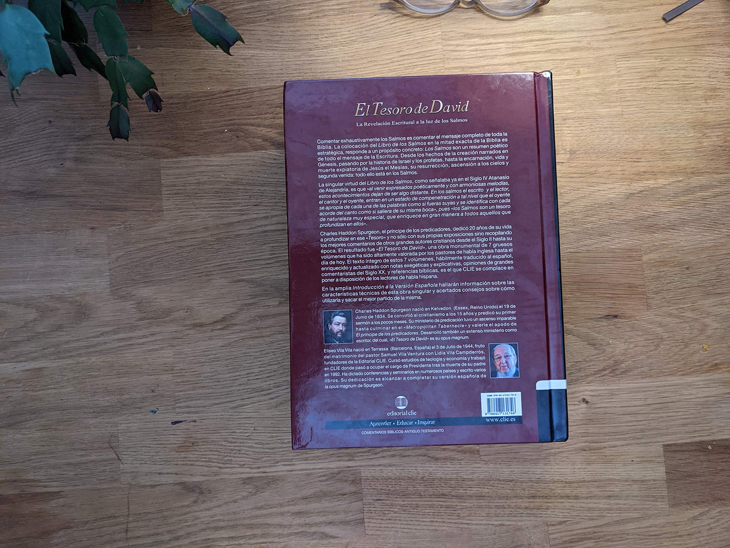 El Tesoro de David II: La revelación escritural a la luz de los Salmos (Spanish Edition)