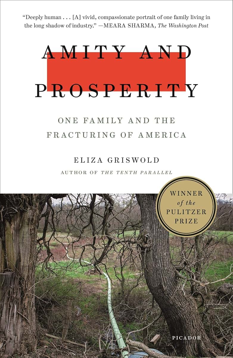 Amity and Prosperity: One Family and the Fracturing of America