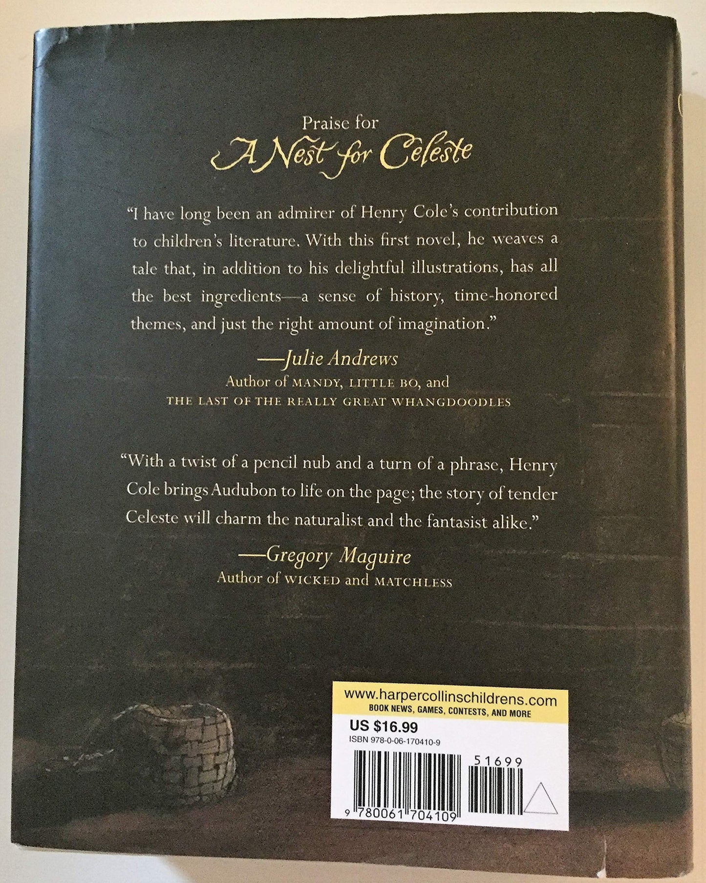 A Nest for Celeste: A Story About Art, Inspiration, and the Meaning of Home (Nest for Celeste, 1)