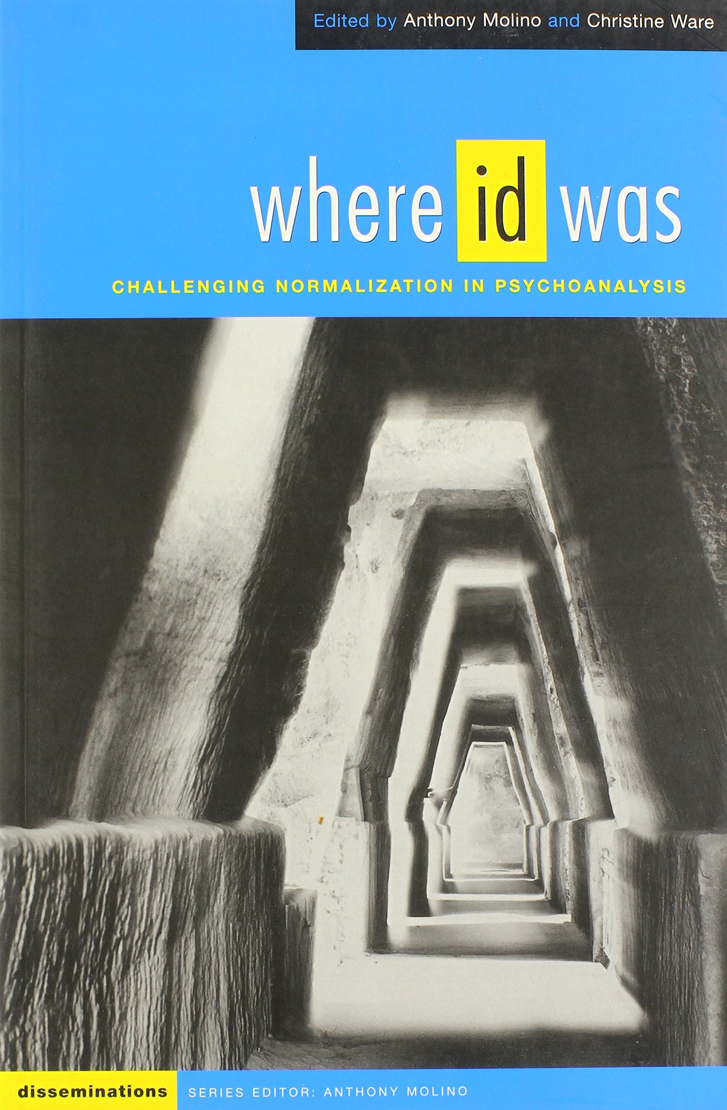 Where Id Was: Challenging Normalization in Psychoanalysis