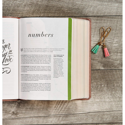 CSB She Reads Truth Bible, Rose Gold LeatherTouch, Black Letter