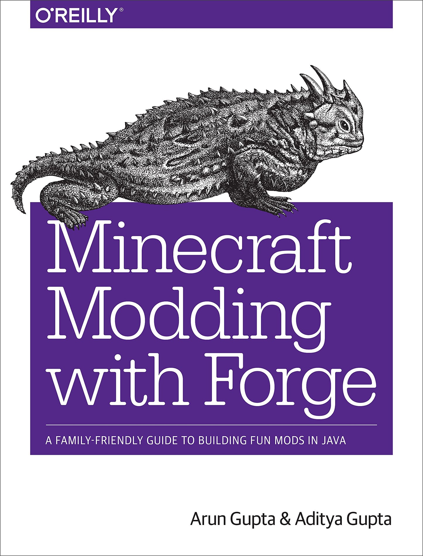Minecraft Modding with Forge: A Family-Friendly Guide to Bui