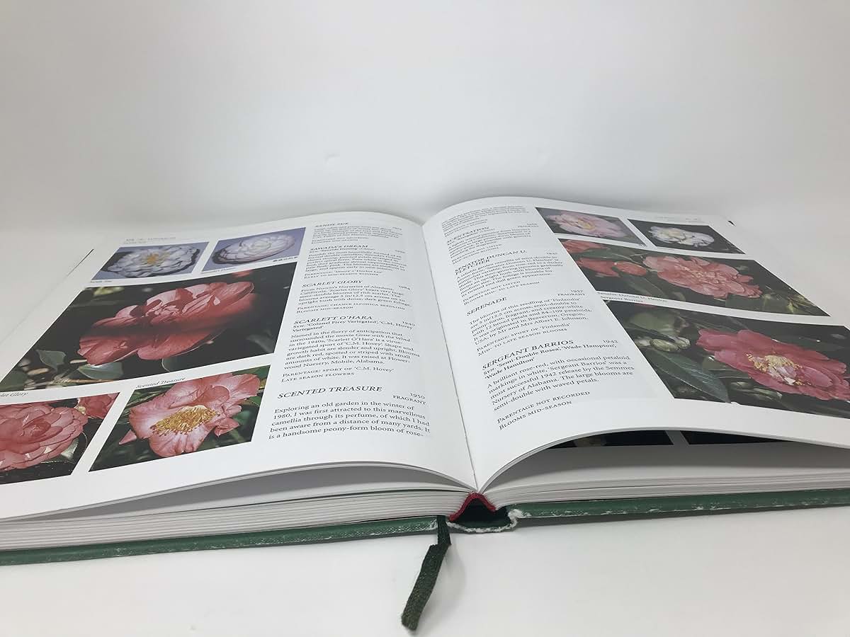 The Illustrated Encyclopedia of Camellias by Macoboy, Stirli