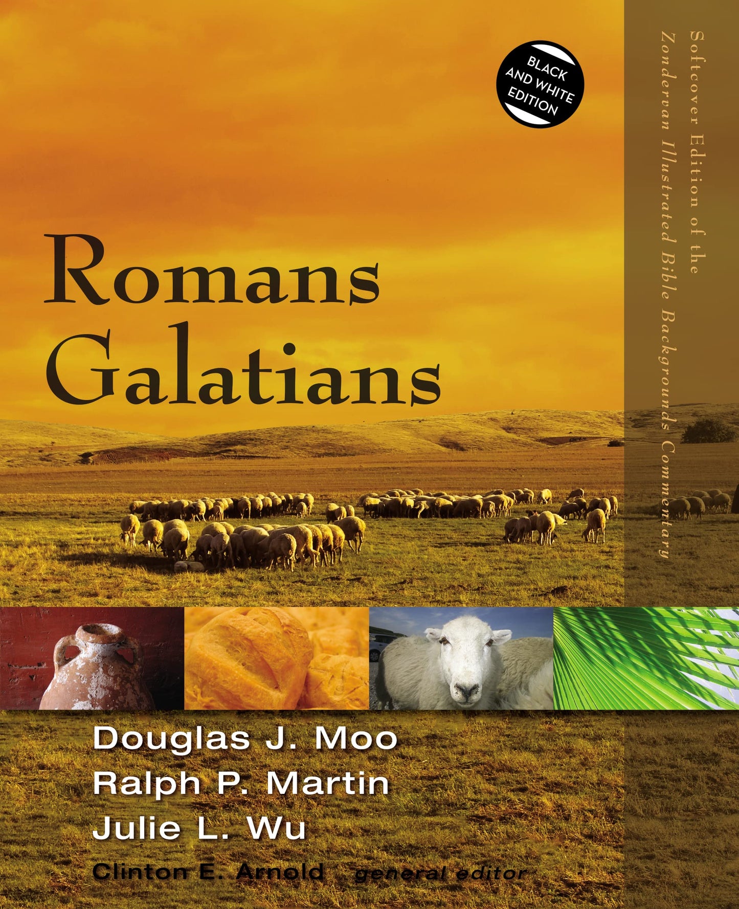 Romans, Galatians (Zondervan Illustrated Bible Backgrounds Commentary)