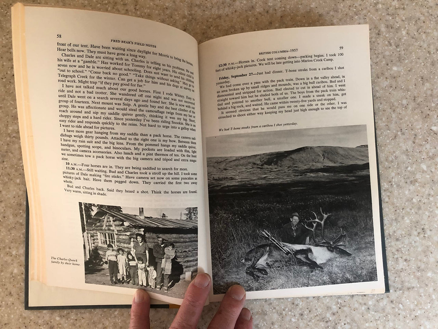 Fred Bear's Field Notes by Fred Bear