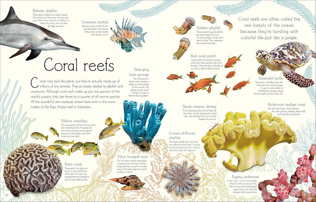 An Anthology of Aquatic Life (DK Children's Anthologies)