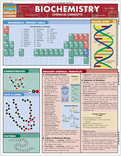Biochemistry QuickStudy Laminated Reference Guide (QuickStudy Academic)