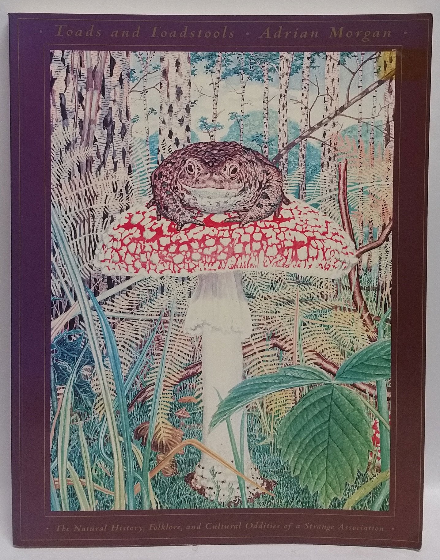 Toads and Toadstools: The Natural History, Mythology and Cul
