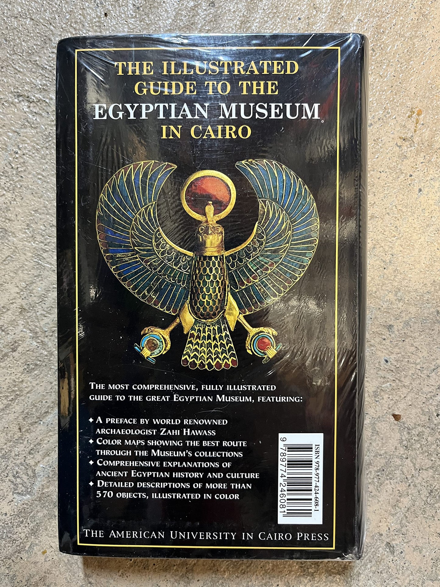 Illustrated Guide to the Egyptian Museum in Cairo