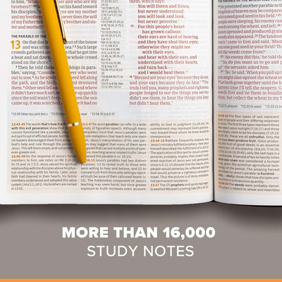 CSB Study Bible, Hardcover, Red Letter, Study Notes and Commentary, Illustrations, Articles, Word Studies, Outlines, Timelines, Easy-to-Read Bible Serif Type