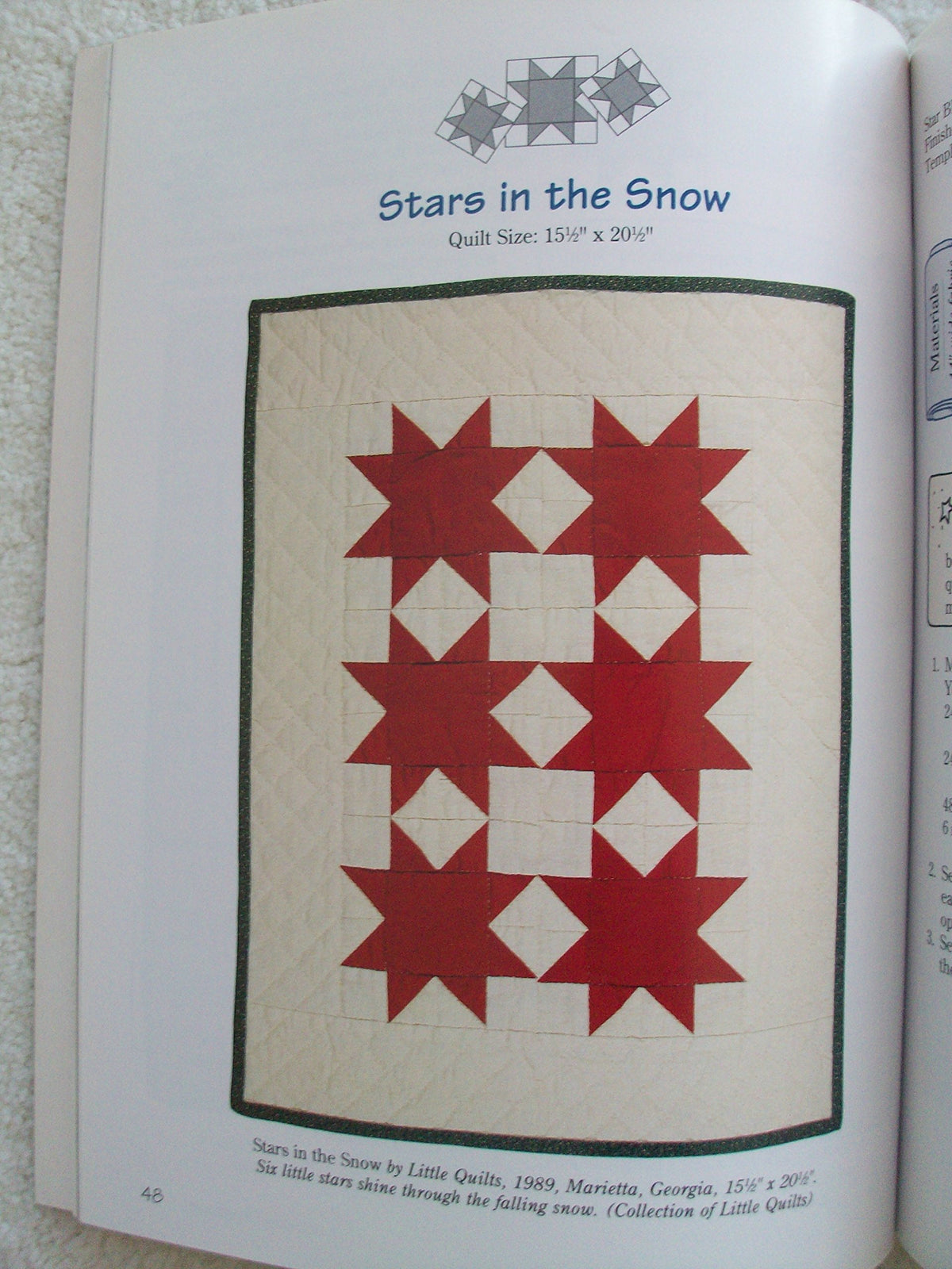 Little Quilts All Through the House (Designer Series)