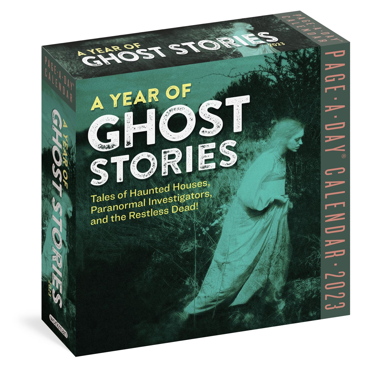 A Year of Ghost Stories Page-A-Day Calendar 2023: Tales of H
