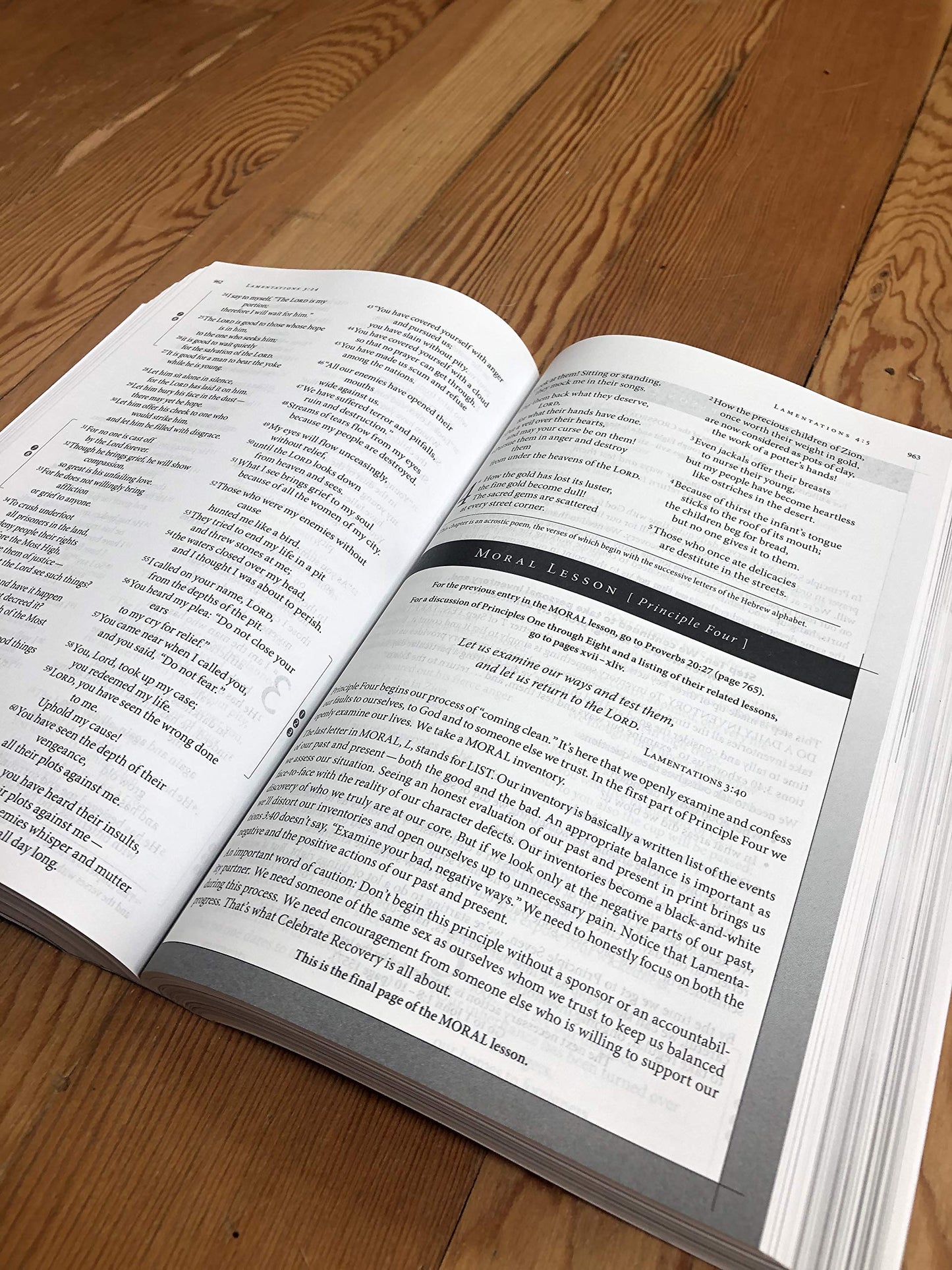 NIV, Celebrate Recovery Study Bible by Zondervan