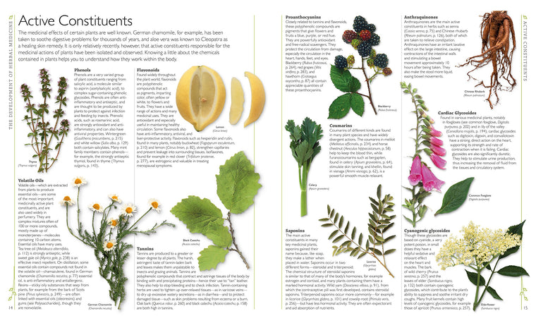 DK Encyclopedia of Herbal Medicine: 550 Herbs Loose Leaves and Remedies for Common Ailments — back cover