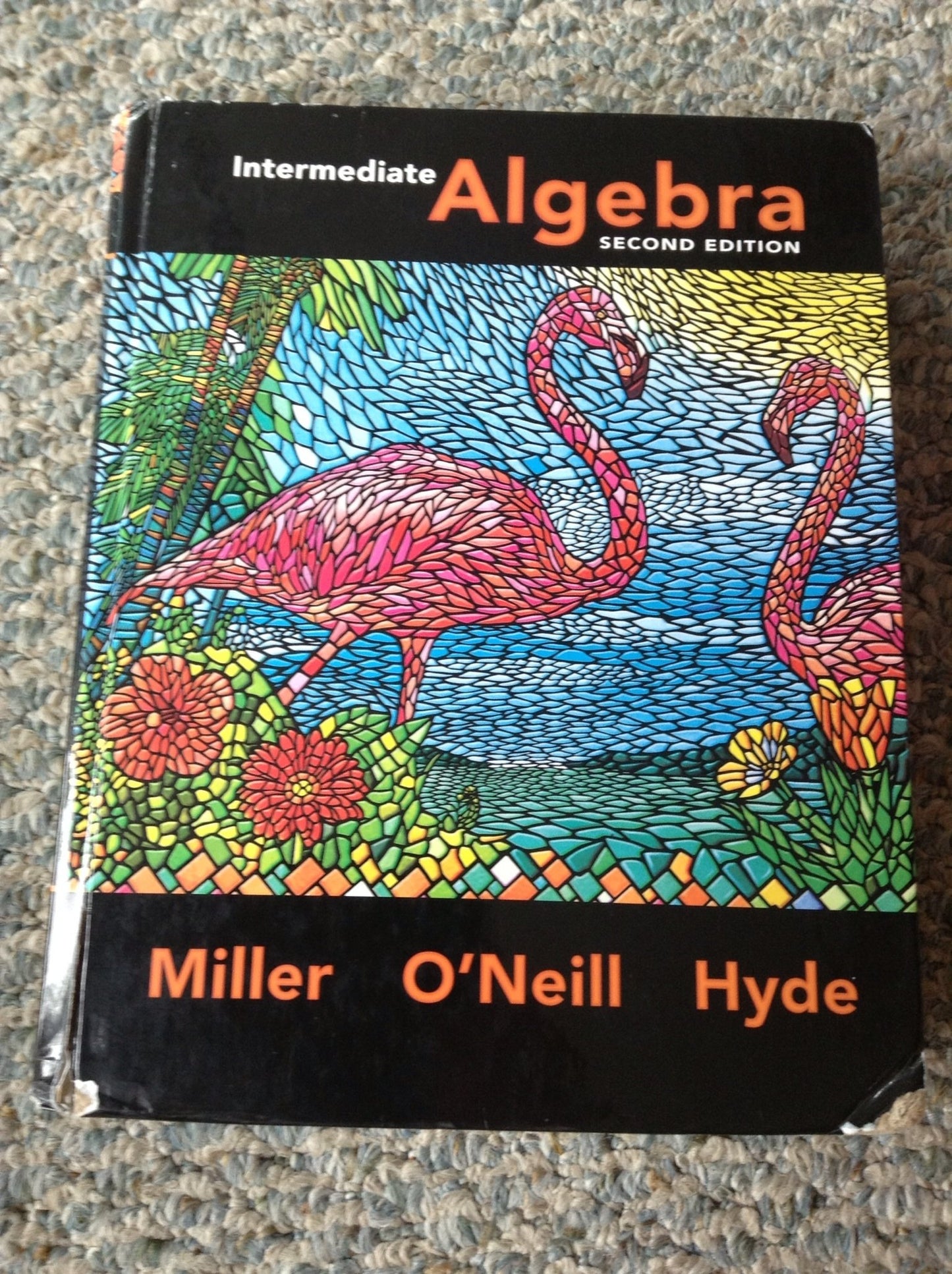 Intermediate Algebra (alt ed. hardcover) by Miller, Julie
