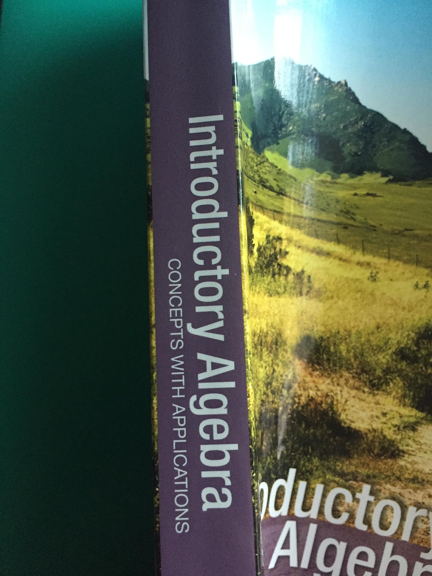 INTRODUCTORY ALGEBRA:CONCEPTS