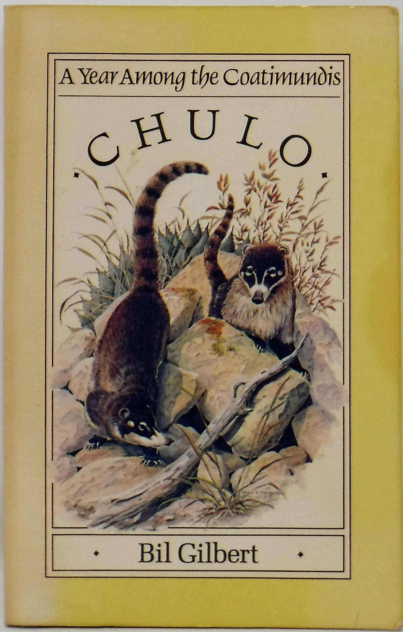 Chulo: A Year Among the Coatimundis