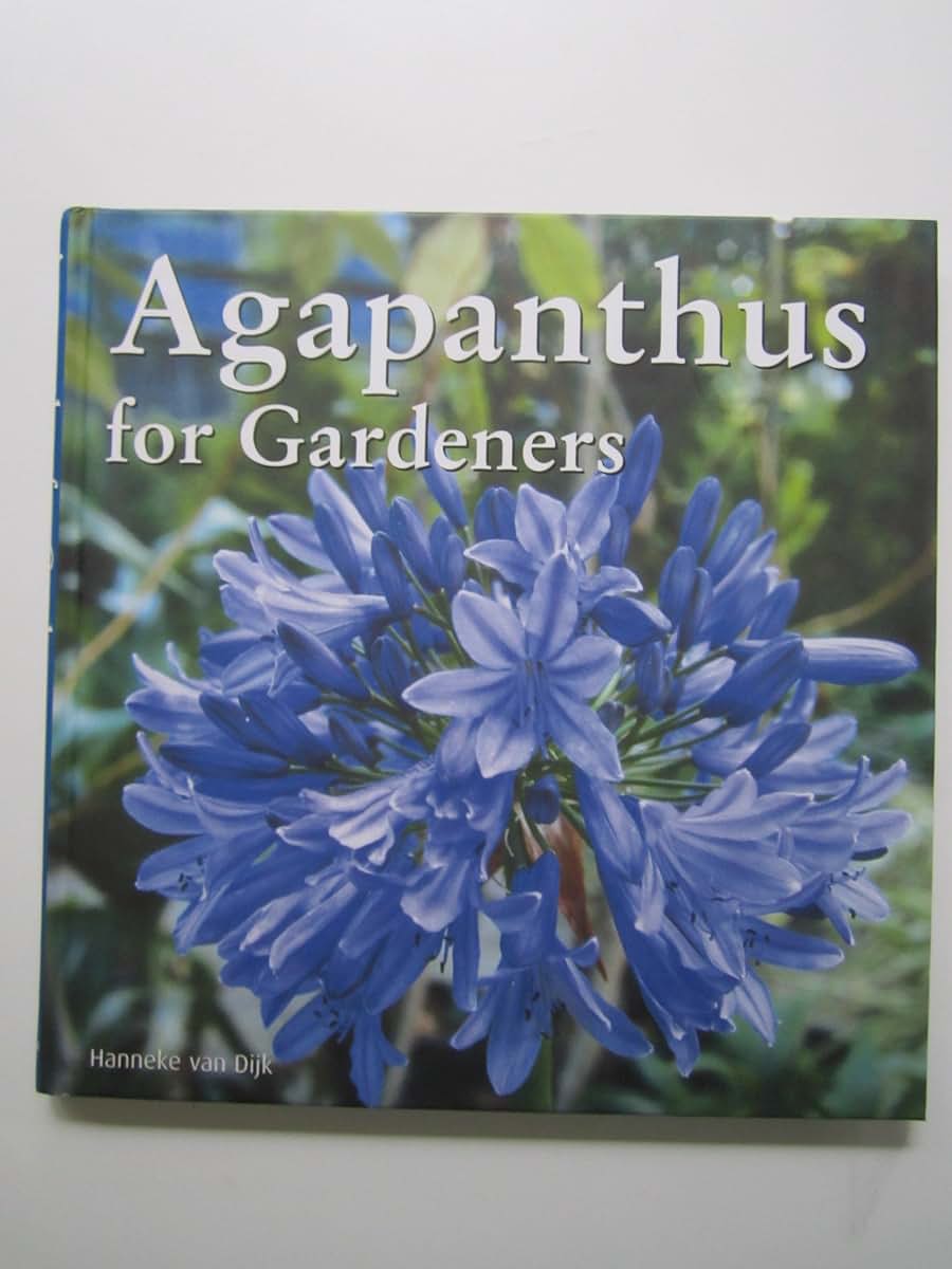 Agapanthus for Gardeners