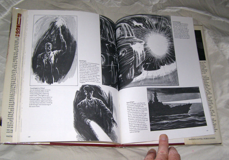 Dynamic Light and Shade — back cover