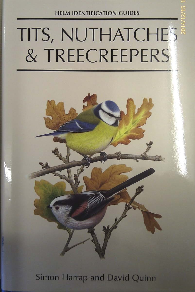 Chickadees, Tits, Nuthatches, and Treecreepers