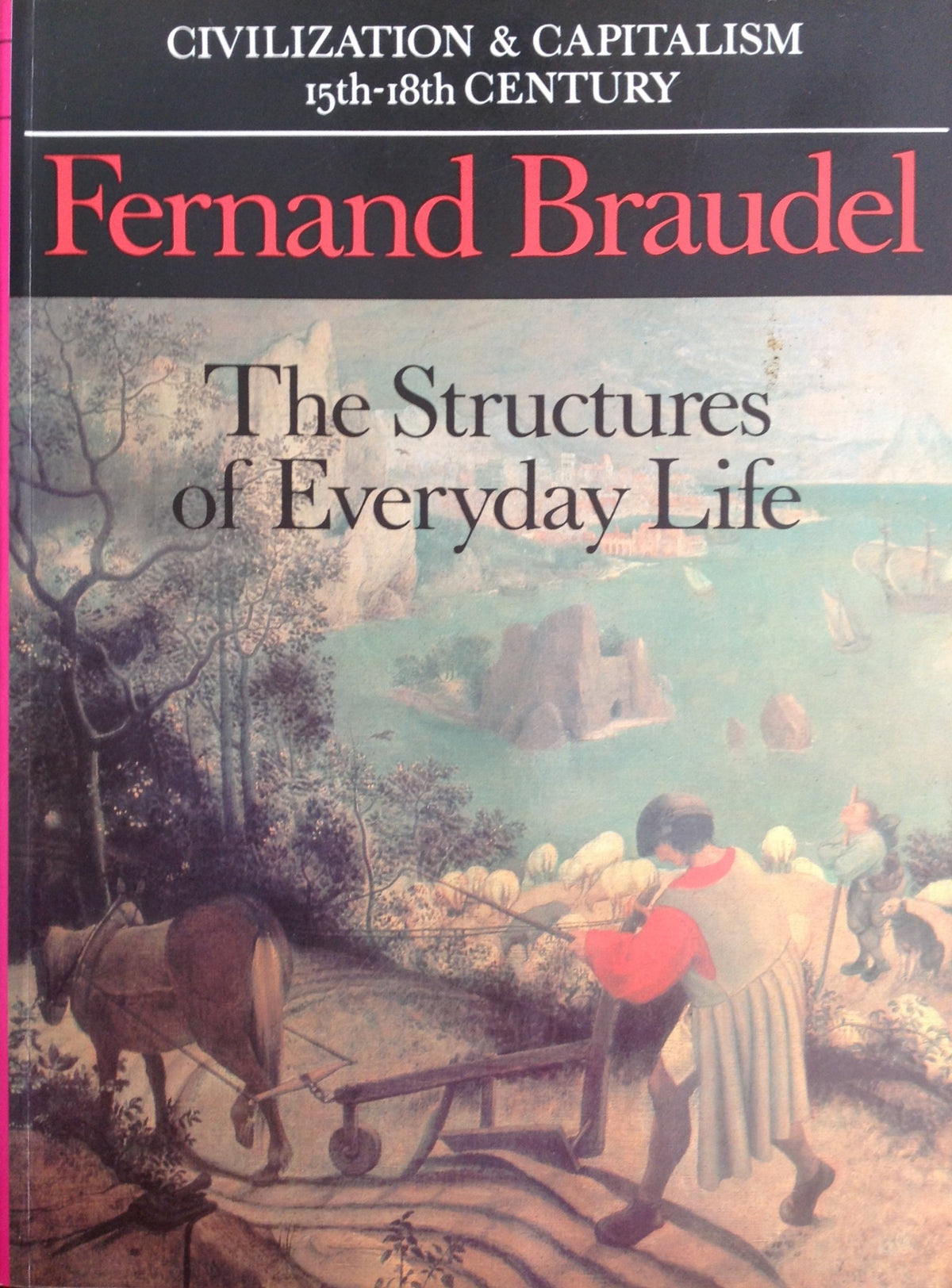Civilization and Capitalism, 15th-18th Century, Vol. I: The Structures of Everyday Life