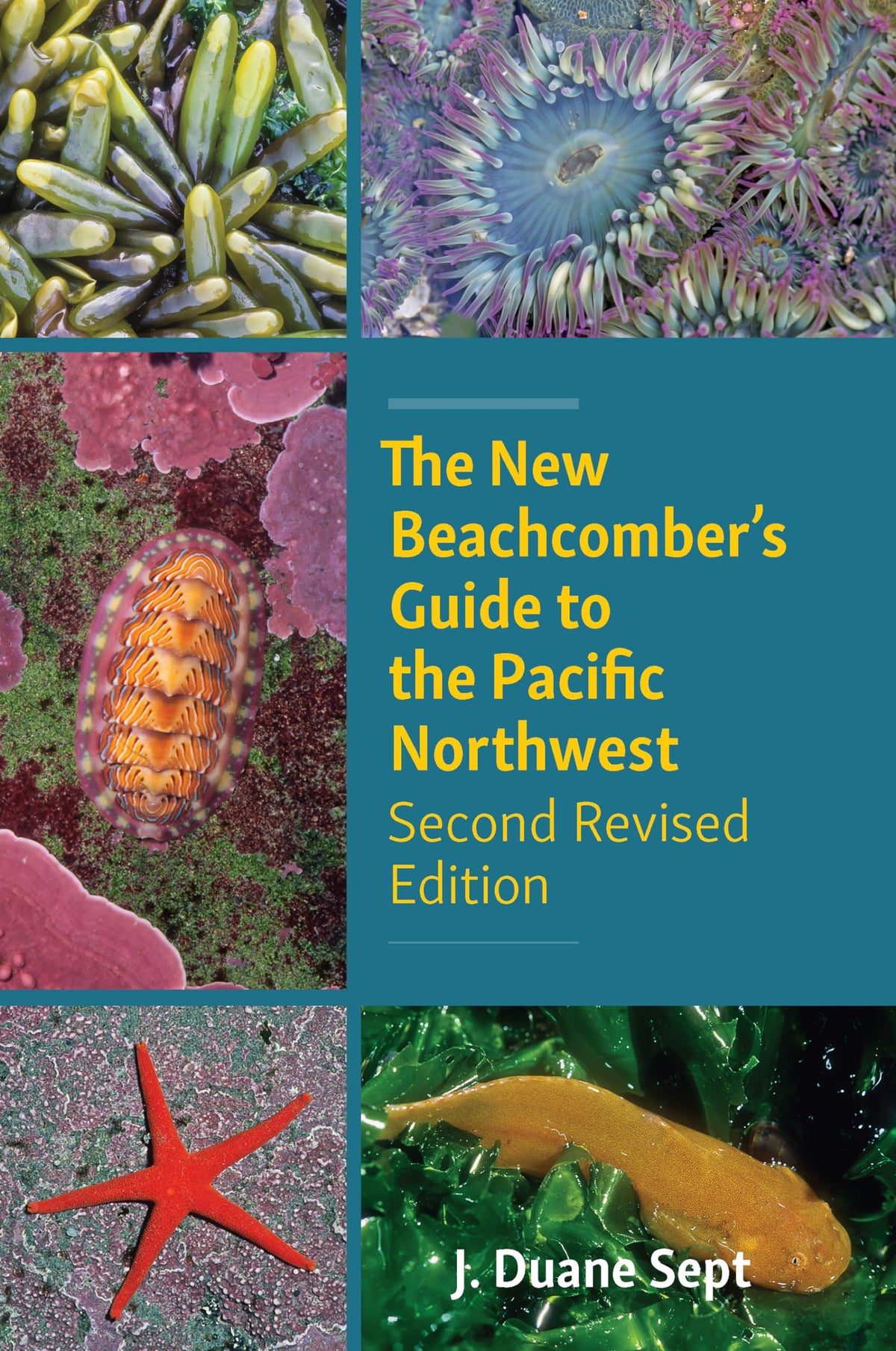 The New Beachcombers Guide to the Pacific Northwest: Second Revised Edition