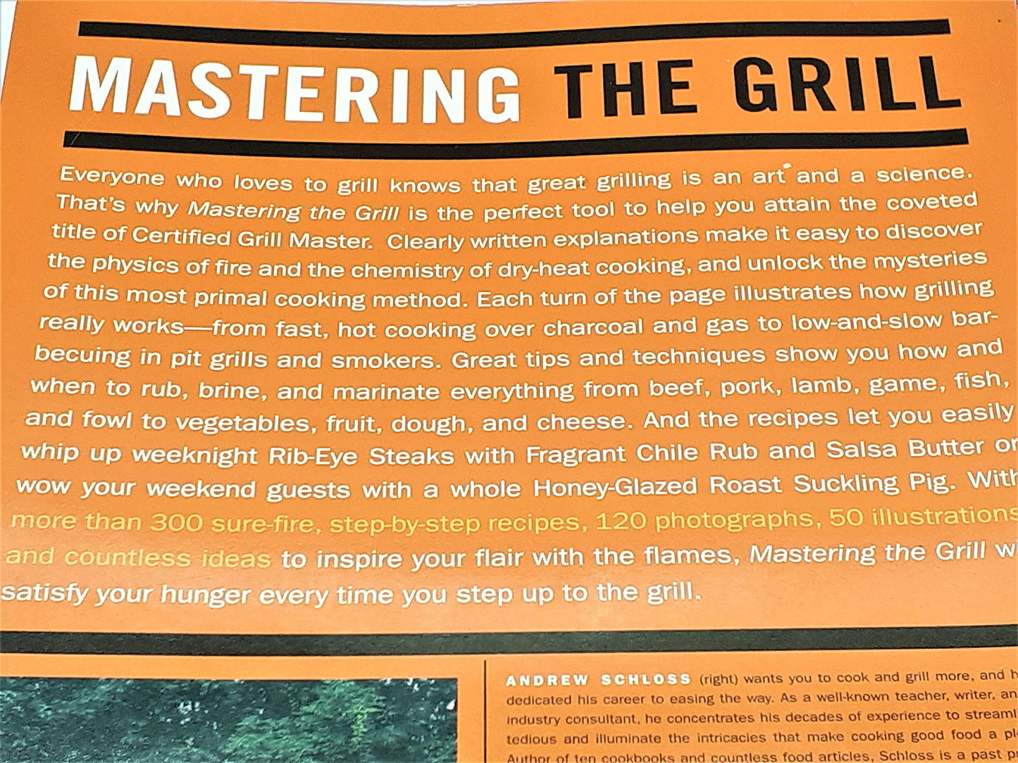 Mastering the Grill: The Owner's Manual for Outdoor Cooking