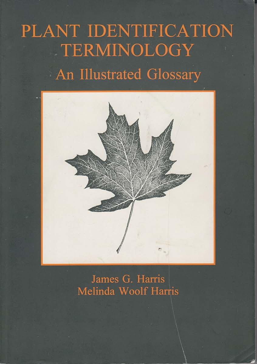 Plant Identification Terminology: An Illustrated Glossary