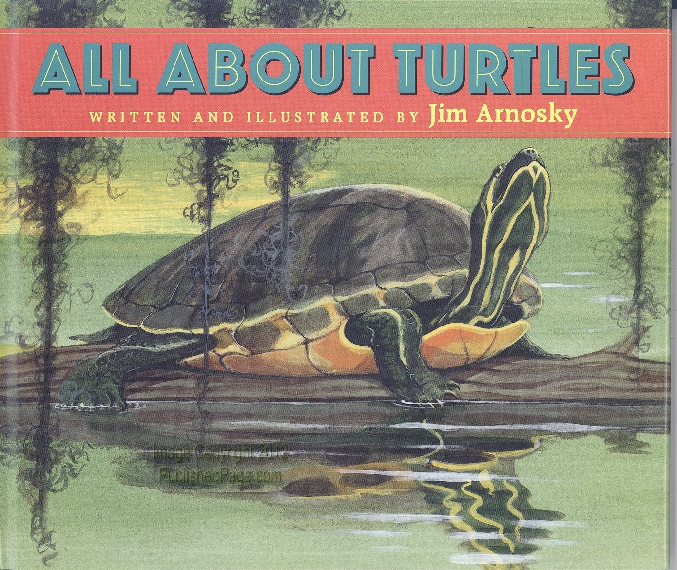 All About Turtles