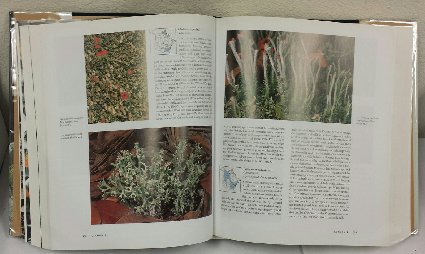 Lichens of North America by Brodo, Irwin M.