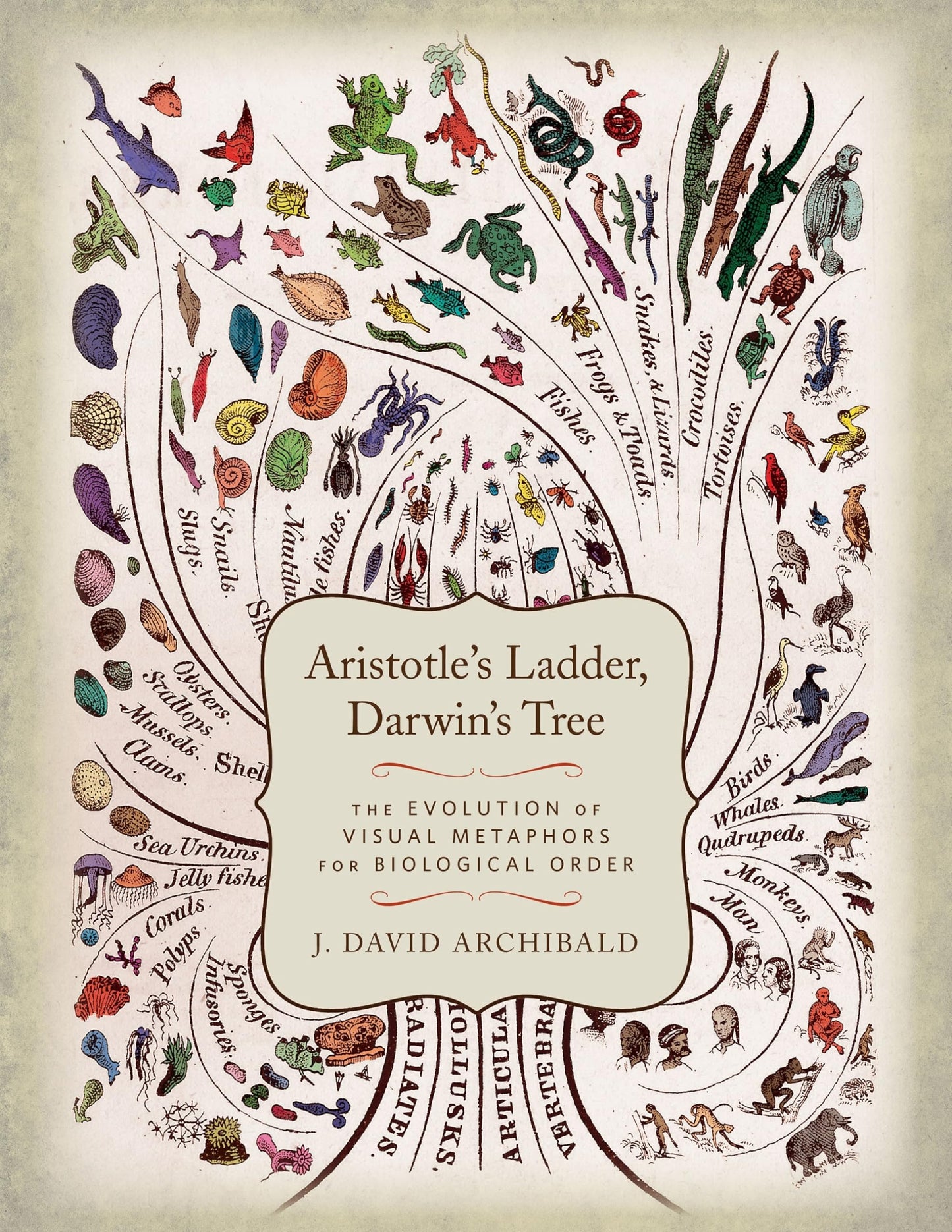 Aristotle's Ladder, Darwin's Tree: The Evolution of Visual Metaphors for Biological Order