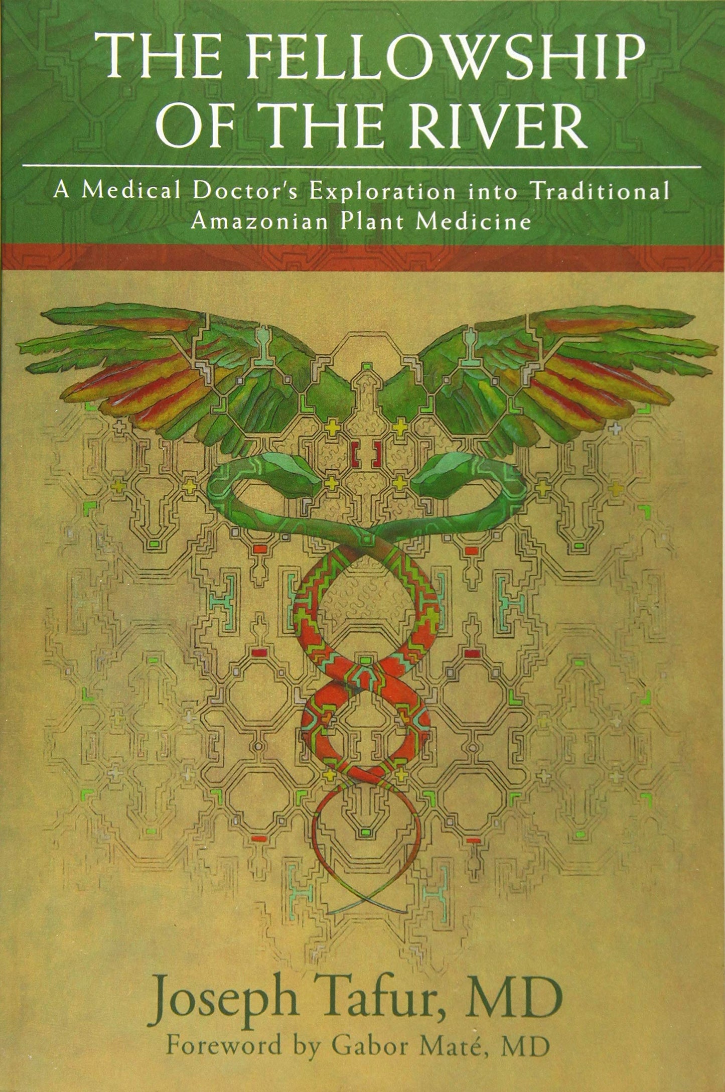 The Fellowship of the River: A Medical Doctor's Exploration into Traditional Amazonian Plant Medicine