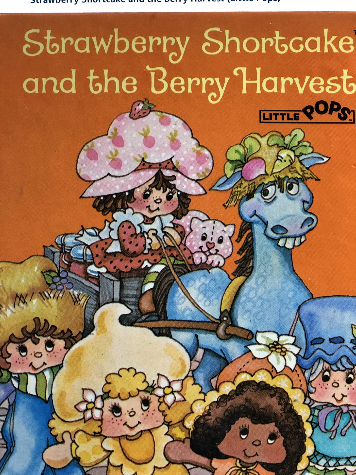 Strawberry Shortcake and the Berry Harvest (Little Pops) by