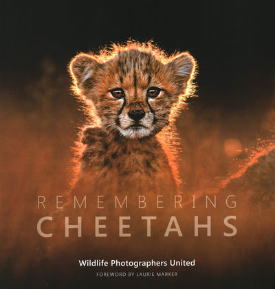 Remembering Cheetahs: Remembering Wildlife by Raggett, Margo