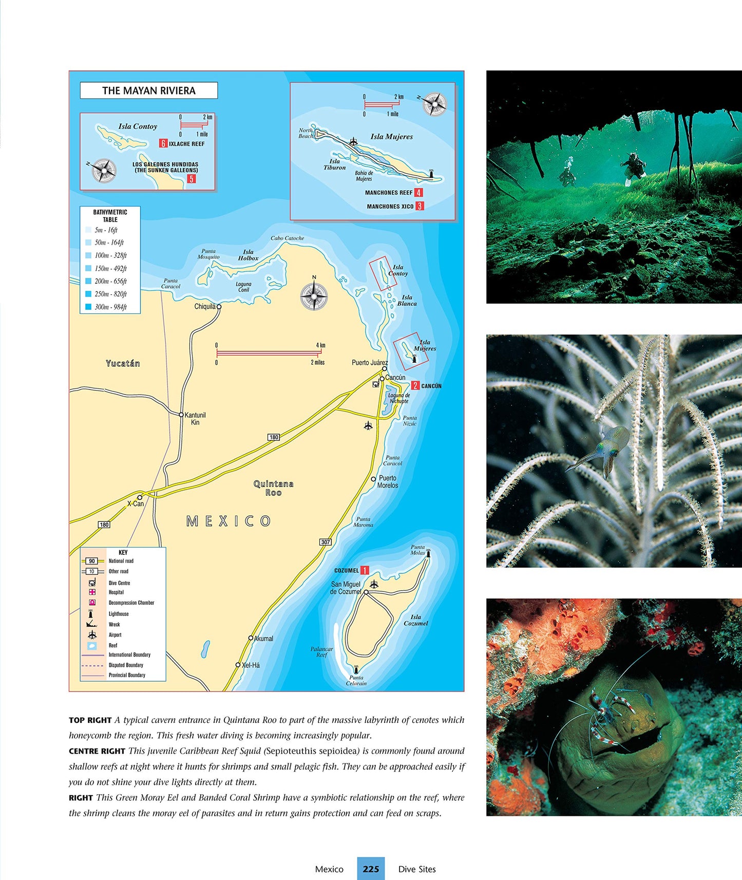 Dive Atlas of the World: An Illustrated Reference to the Bes
