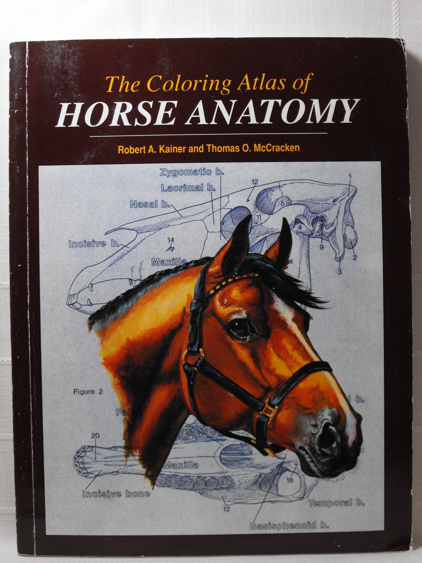 Coloring Atlas of Horse Anatomy