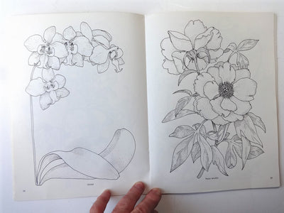 Treasury of Flower Designs for Artists, Embroiderers and Craftsmen (Dover Pictorial Archive)