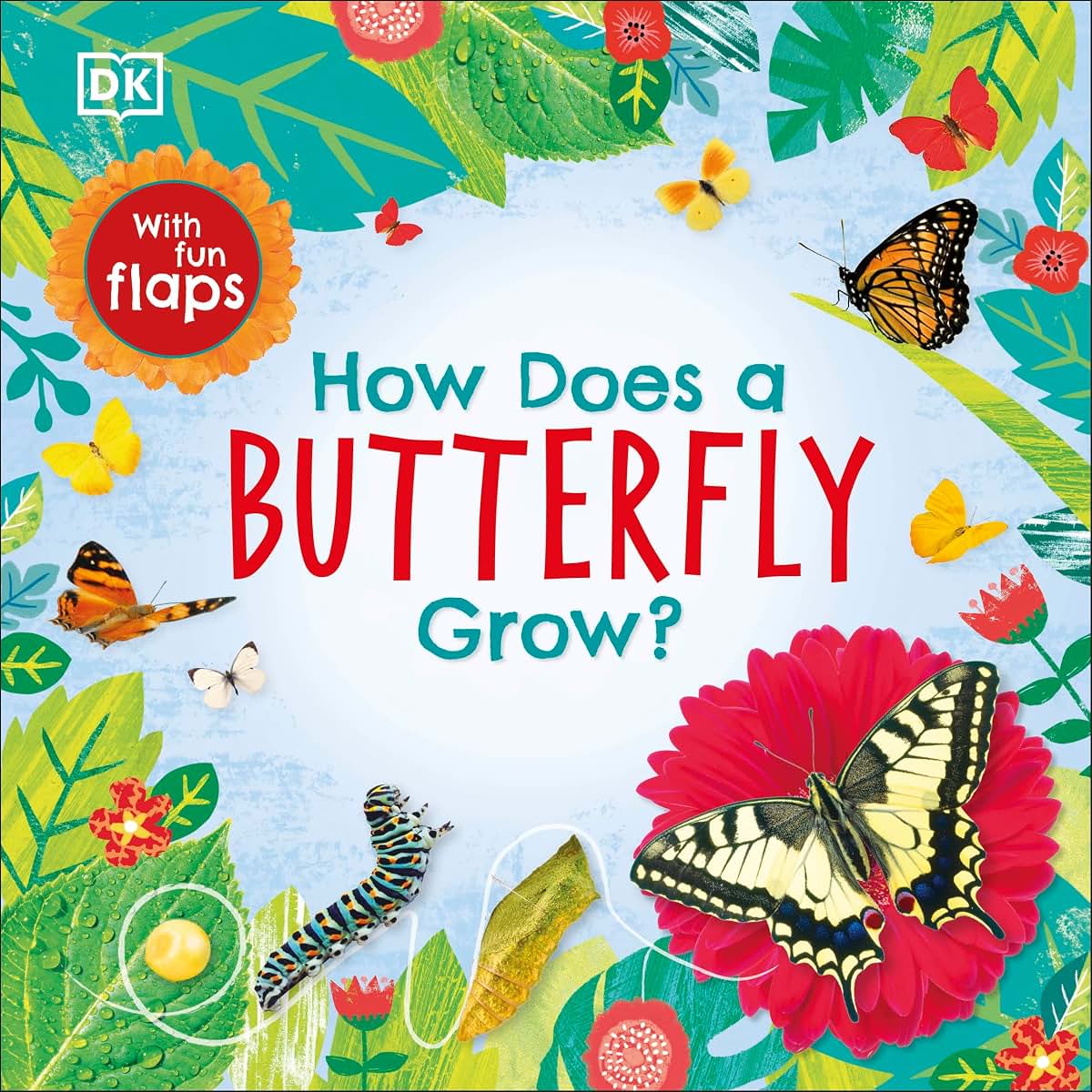 How Does a Butterfly Grow? (Life Cycle Board Books)