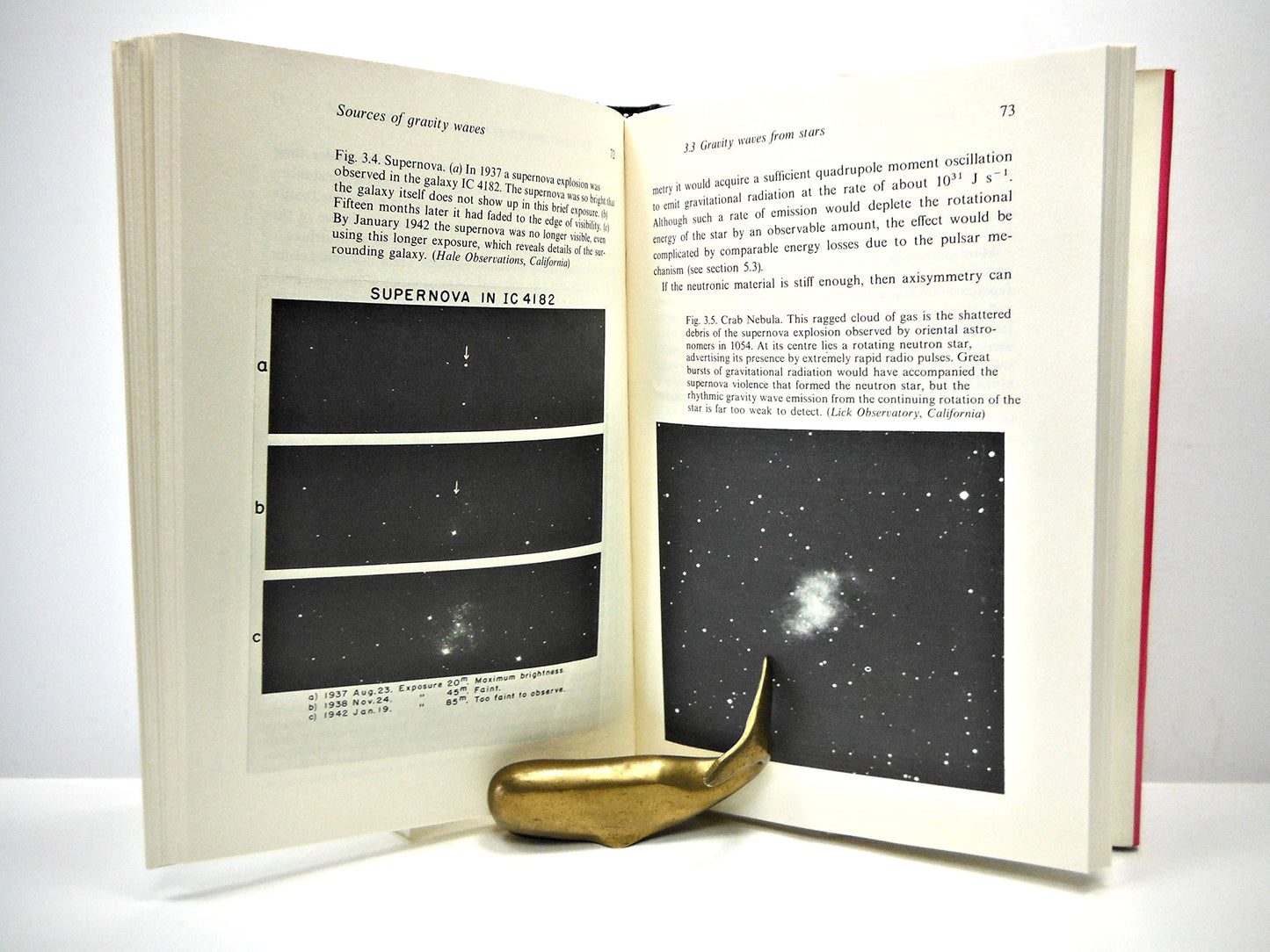 The Search for Gravity Waves