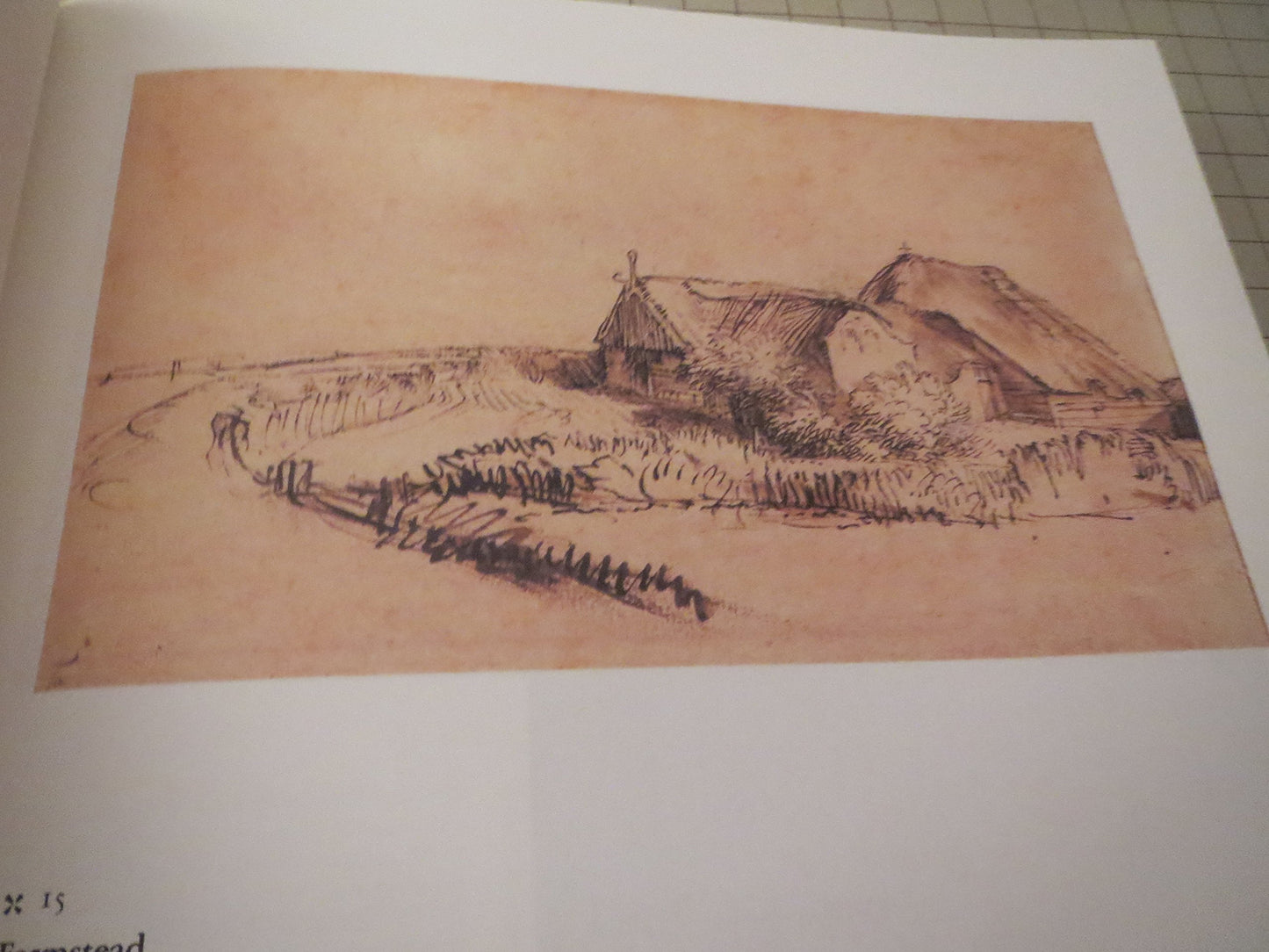 Rembrandts Landscapes: Drawings and Prints by Schneider, Cyn