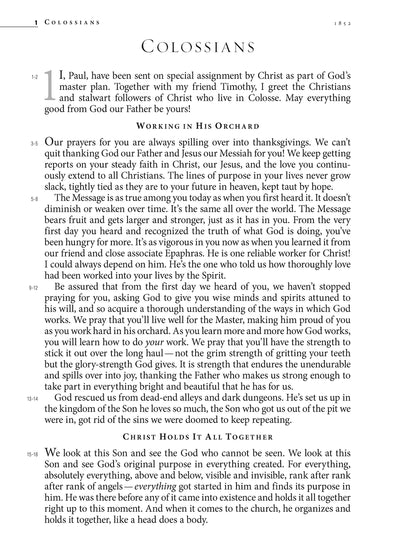 The Message Large Print: The Bible in Contemporary Language