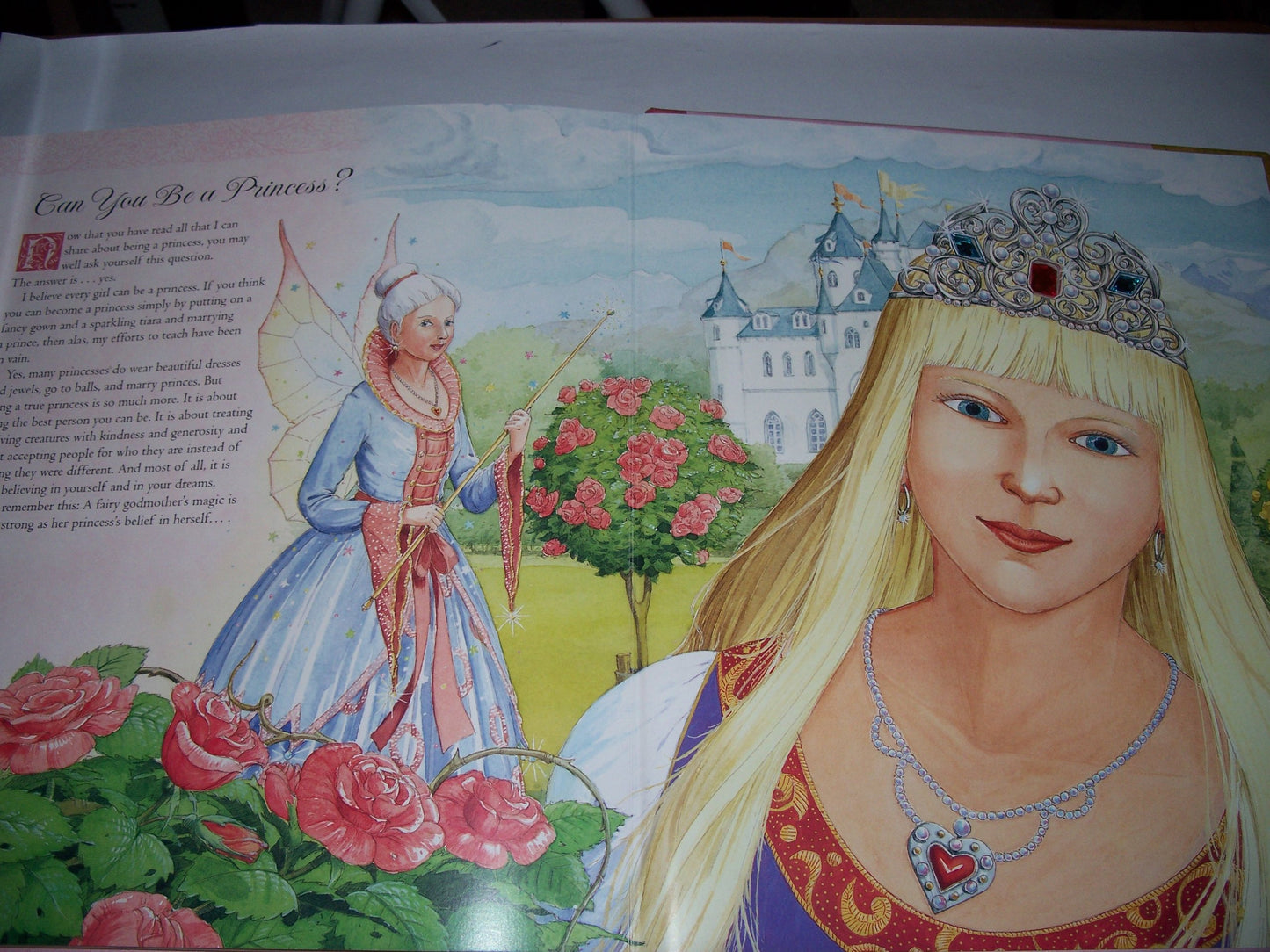 A Princess Primer: A Fairy Godmother's Guide to Being a Princess