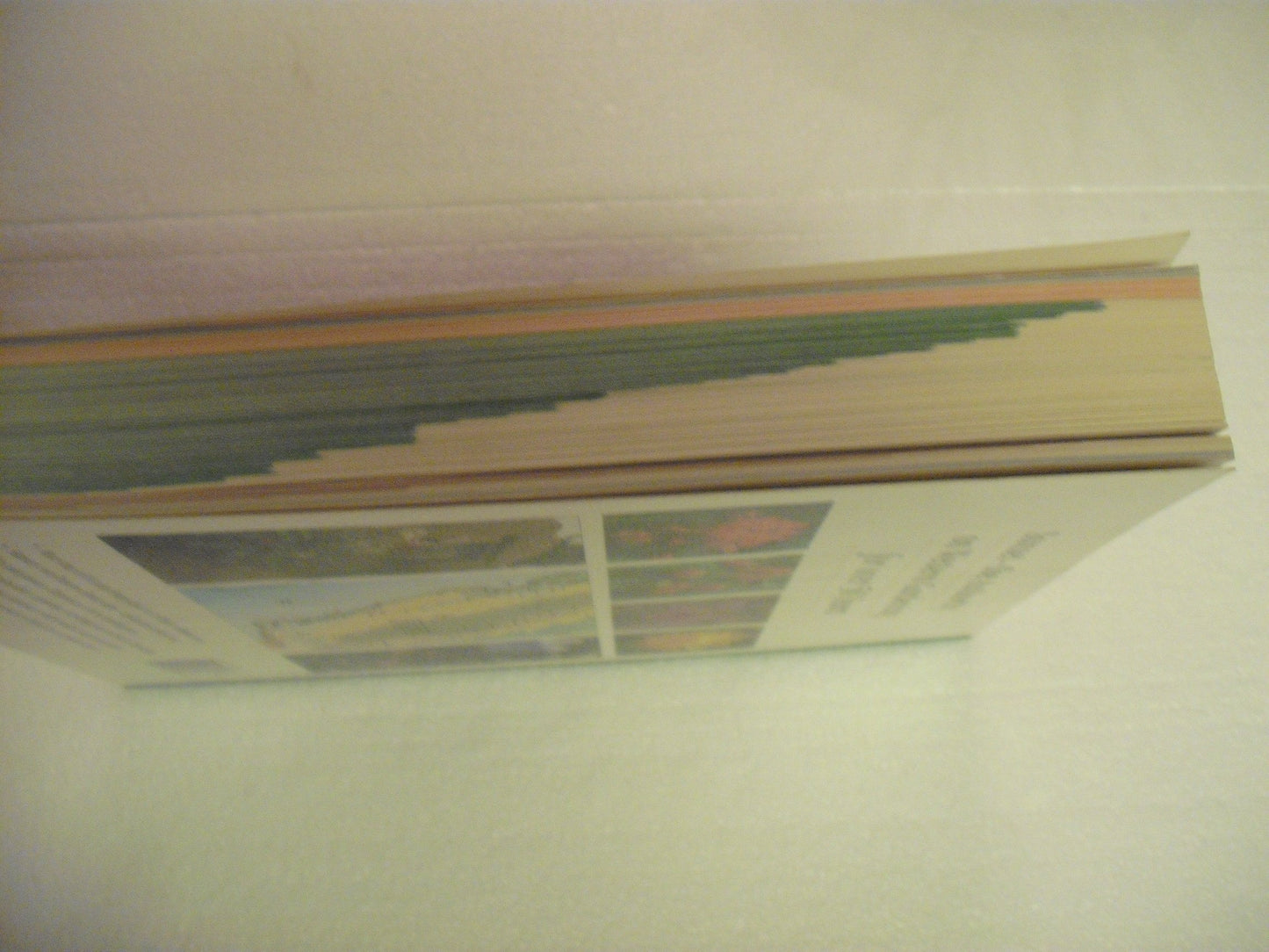 Sunset Western Garden Book