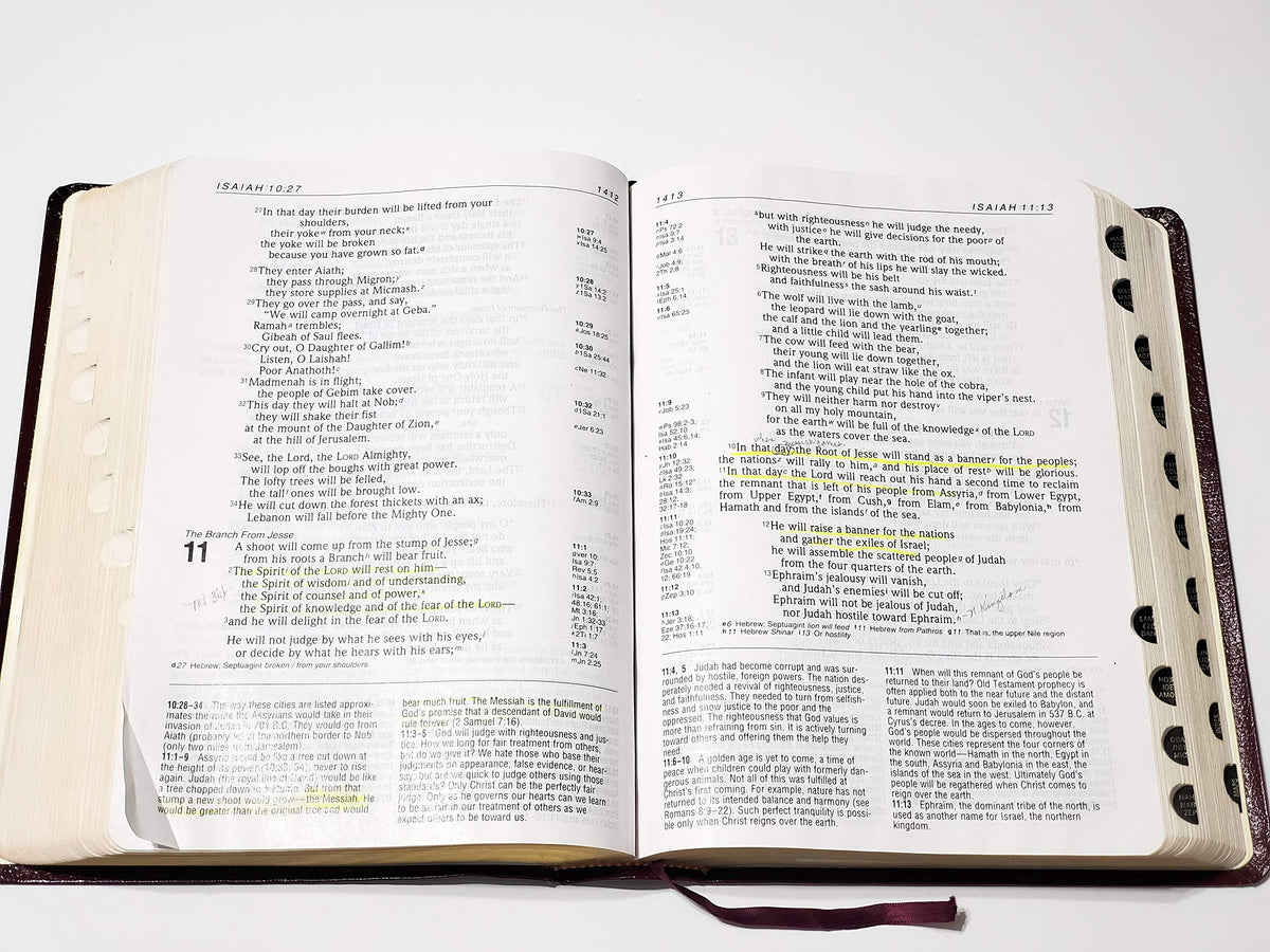 Holy Bible: New Internation Version Life Application Bible/ Large Print/ Burgundy Bonded Leather/ Plain