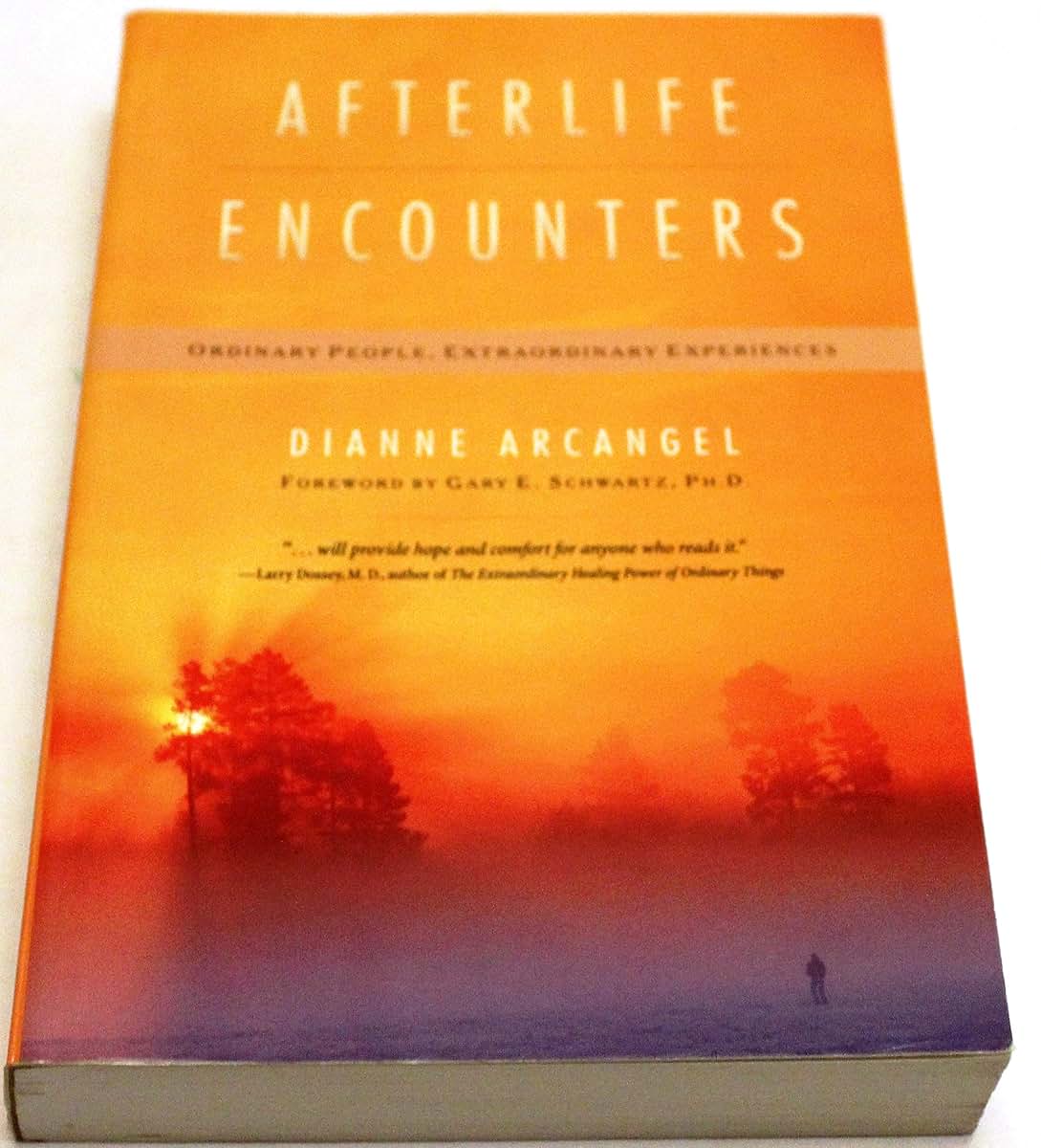Afterlife Encounters: Ordinary People, Extraordinary Experie