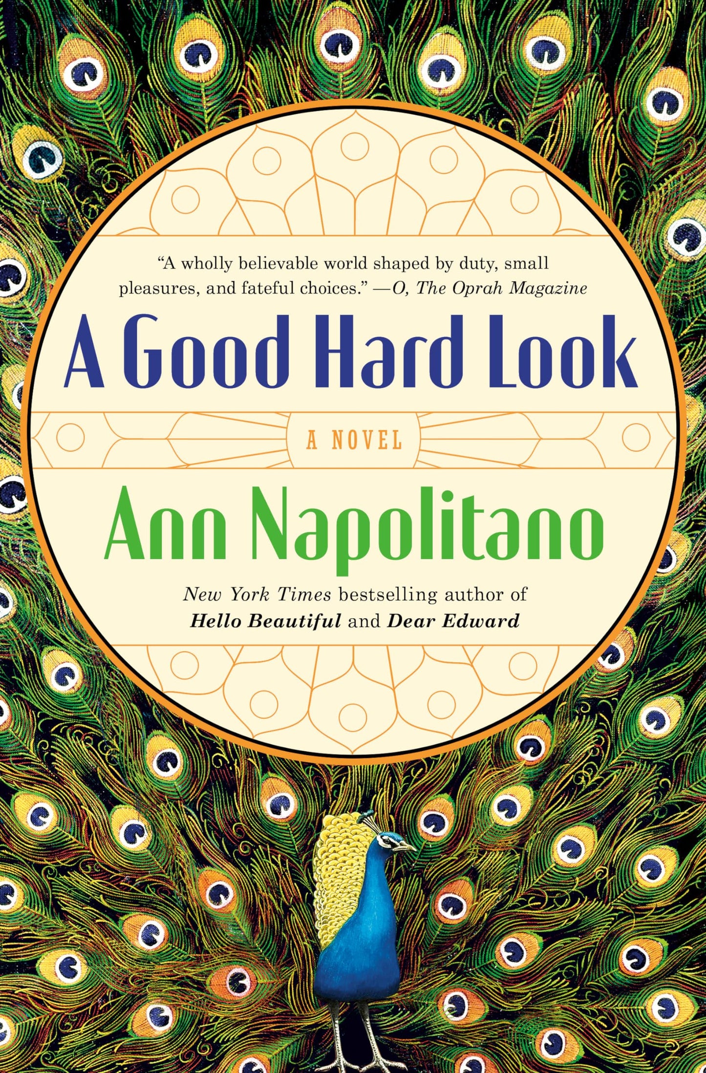 A Good Hard Look: A Novel by Ann Napolitano