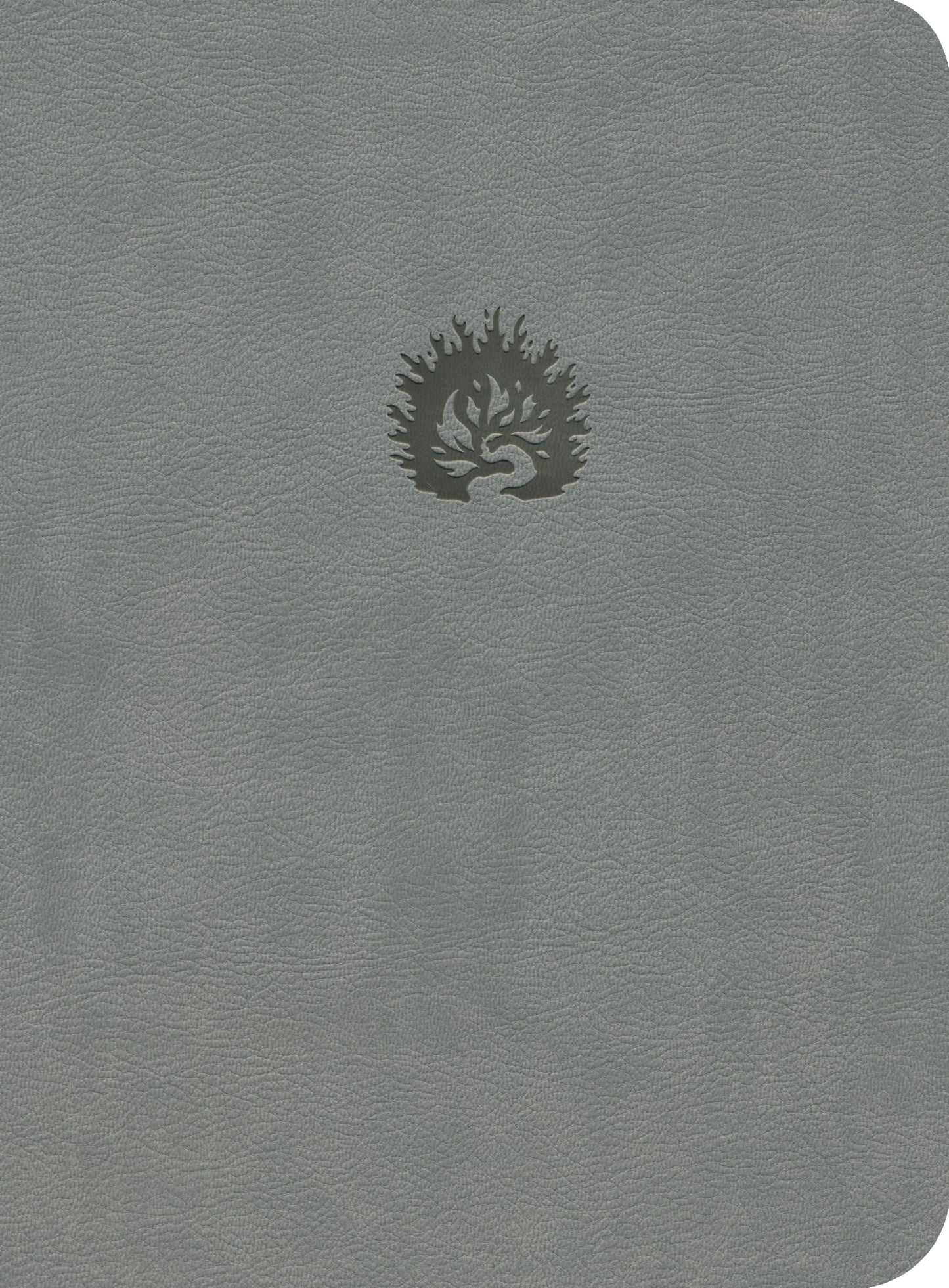ESV Reformation Study Bible, Light Gray, Leather-Like