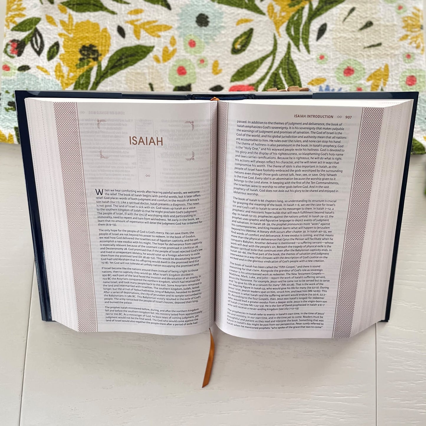 NIV, The Grace and Truth Study Bible (Trustworthy and Practical Insights), Hardcover, Red Letter, Comfort Print