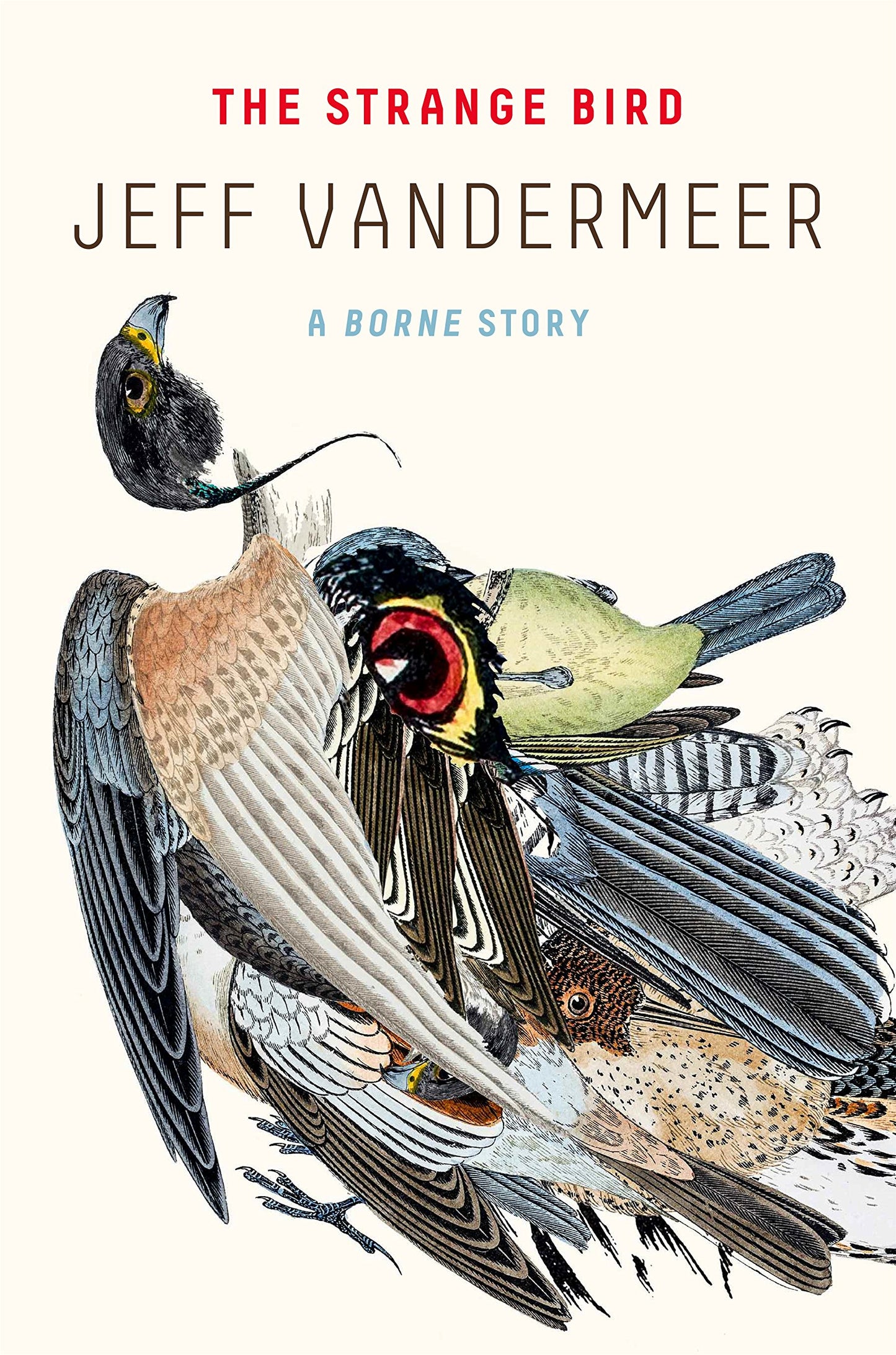 The Strange Bird: A Borne Story by Jeff VanderMeer