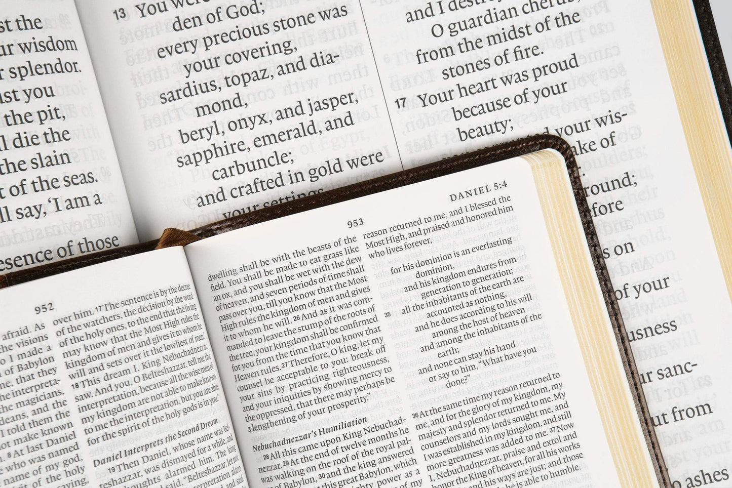 ESV Super Giant Print Bible (TruTone, Black): Holy Bible, English Standard Version